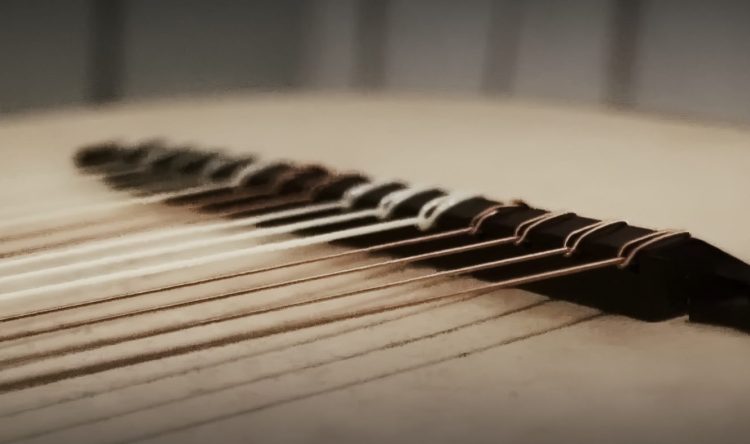 Immersing in dido screen shot