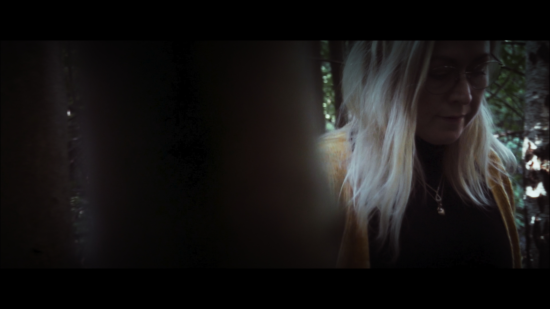 Screen shot of footage shot by Robin Rolfhamre