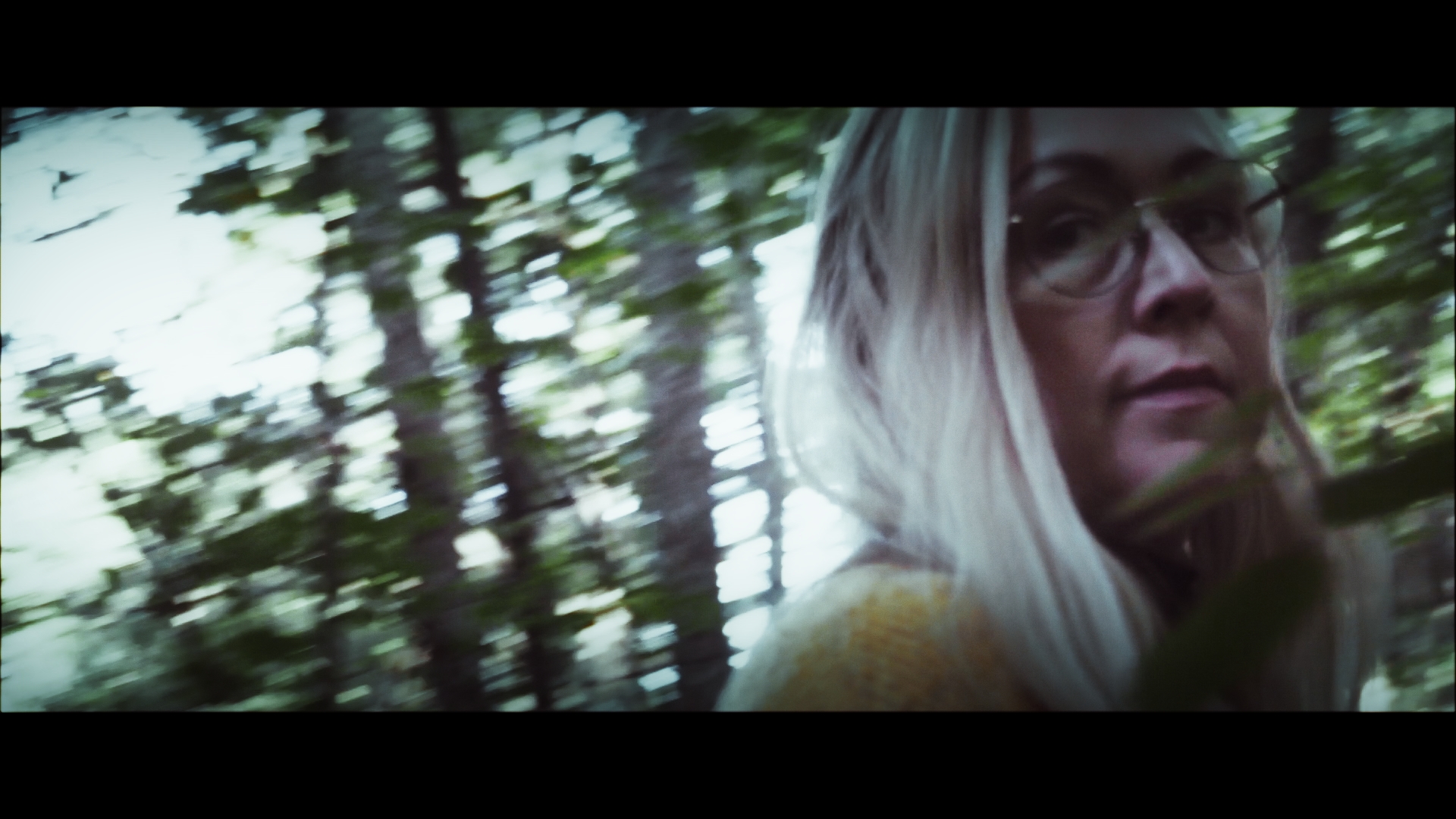 Screen shot of footage shot by Robin Rolfhamre