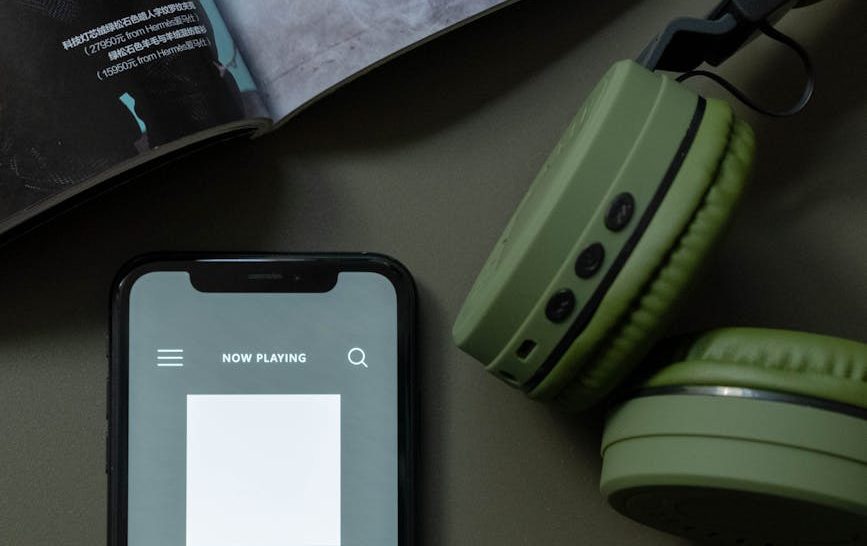 Beyond the Sweet Spot: Optimizing Translation Across Playback Systems with Controlled Distortion & Harmonic&nbsp;Excitation