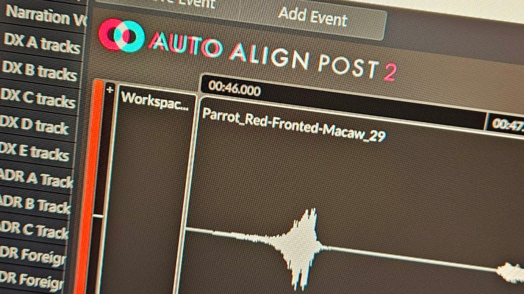 Sound Radix Auto Align Post 2